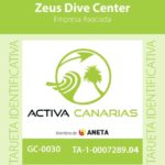 Tenerife Scuba Diving for Certified Divers - A Deep Look into Tenerife’s Underwater Adventure