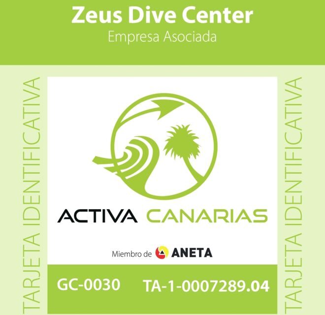 Tenerife Scuba Diving for Certified Divers - A Deep Look into Tenerife’s Underwater Adventure