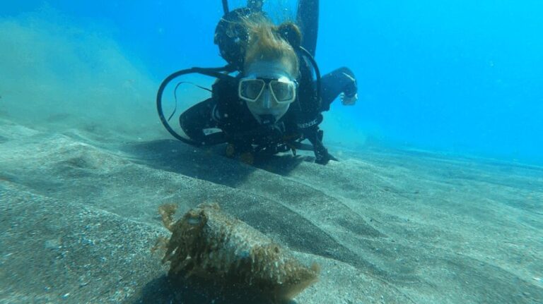 Tenerife: Scuba Diving Lesson and Abades Protected Area Dive - Who Should Consider This Experience?