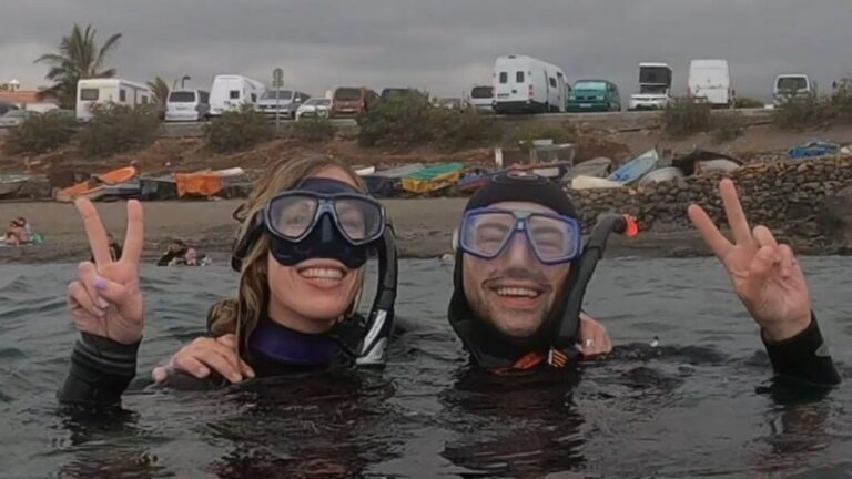Tenerife: Snorkeling Tour in a Marine Protected Area - The Itinerary: What to Expect from Start to Finish