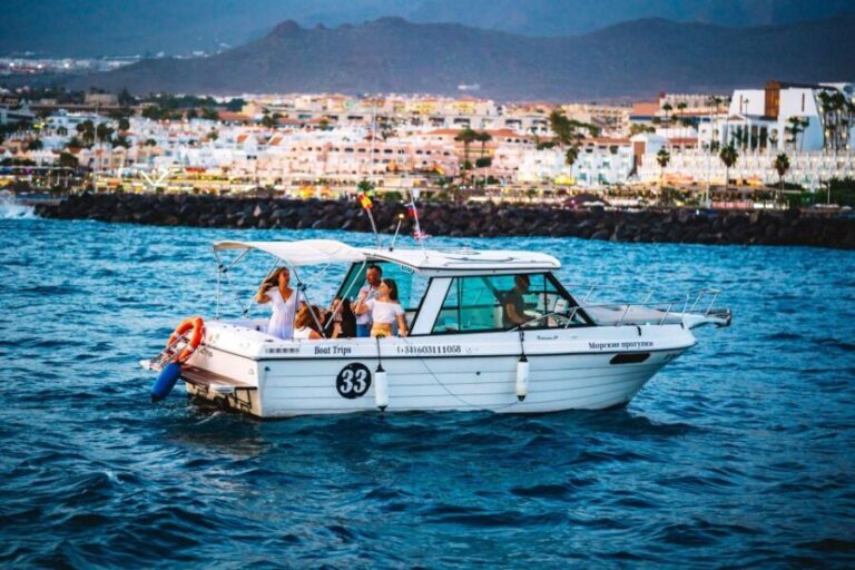 Tenerife South: Romantic Night Cruise - Practical Details and Tips