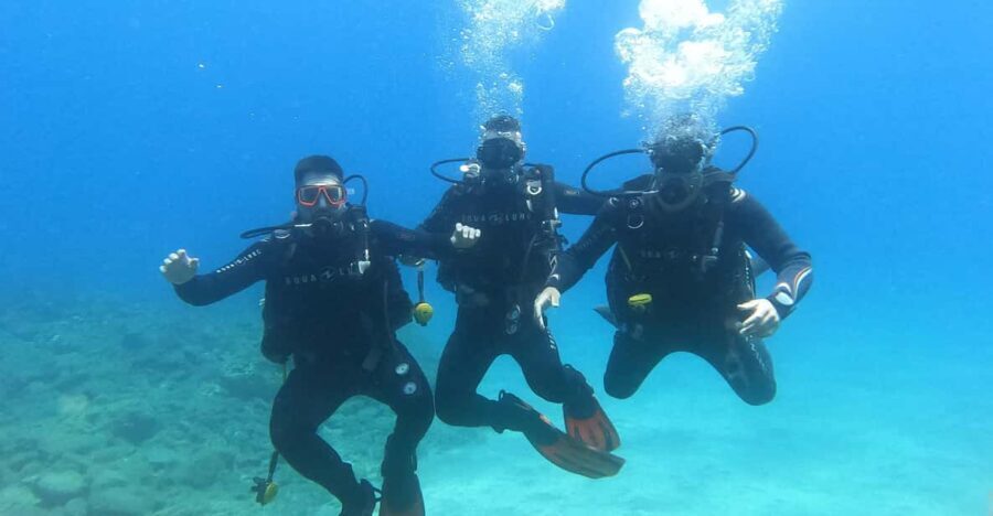 Tenerife south: Scuba Dive for beginners in Adeje - Why Tenerife Is a Great Spot for Beginners