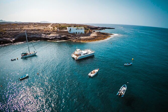 Tenerife Sunset Catamaran tour with transfer - Food and Drinks included. - Who This Tour Is Best For