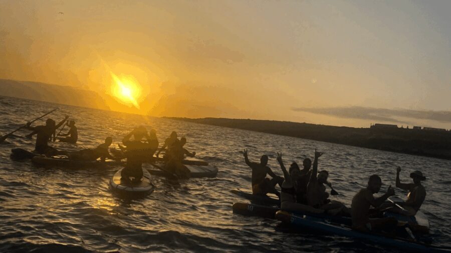 Tenerife: Sunset Stand-Up Paddleboarding Tour - Who Would Love This Tour?