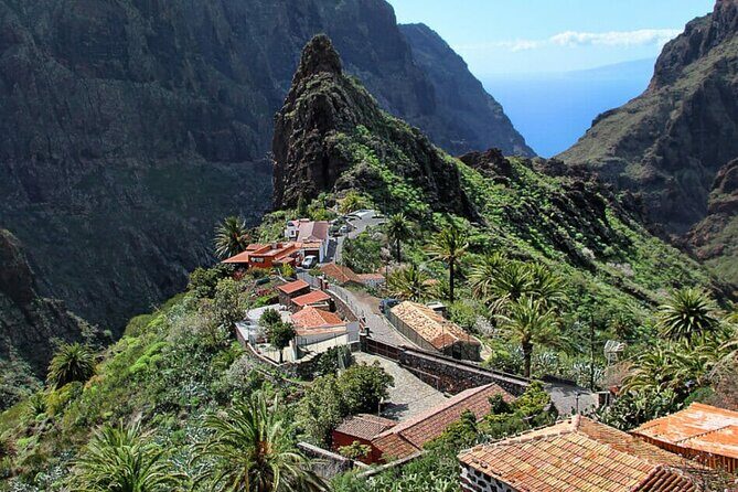 Tenerife Tour Mt. Teide and the Towns of Icod, Garachico, Masca - Practical Tips for Making the Most of Your Day