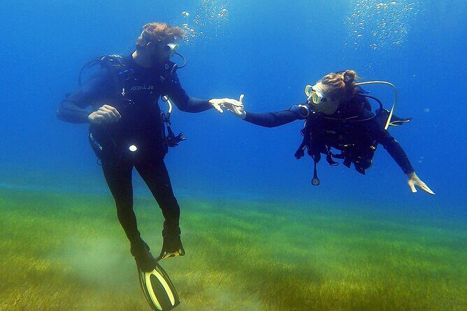 Tenerife Under The Sea - dive into 1-1 personalised experience - The Experience: What You Can Expect