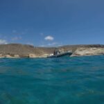 Tenerife: Underwater Lava Tongues Snorkel Excursion - A Closer Look at the Experience