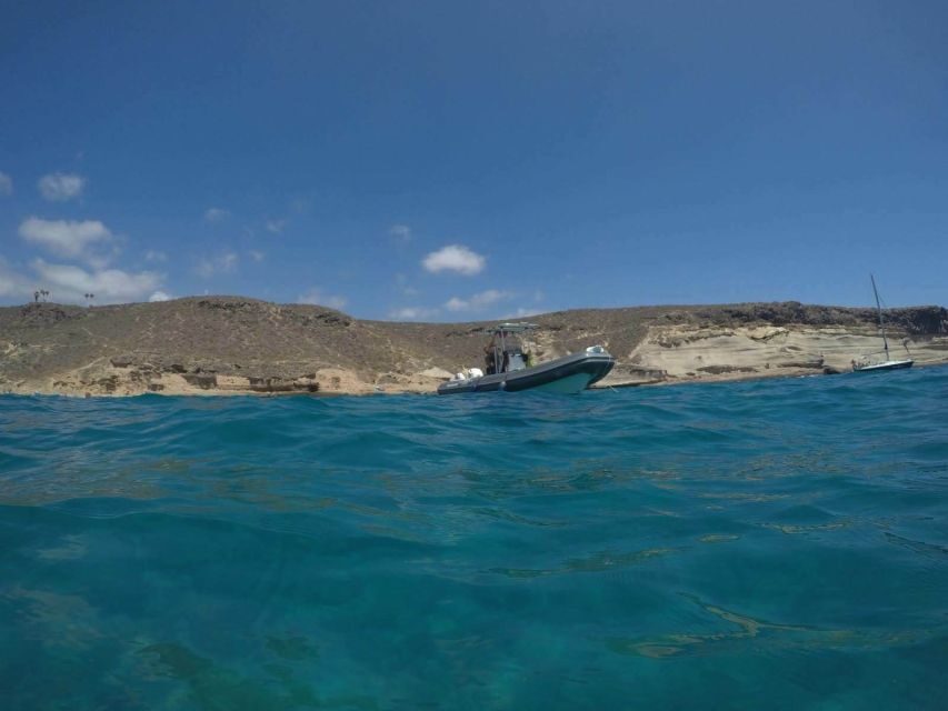 Tenerife: Underwater Lava Tongues Snorkel Excursion - A Closer Look at the Experience