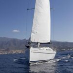Tenerife: Whale and Dolphin Watching Tour by Sailboat - Final Thoughts: Is It Worth It?