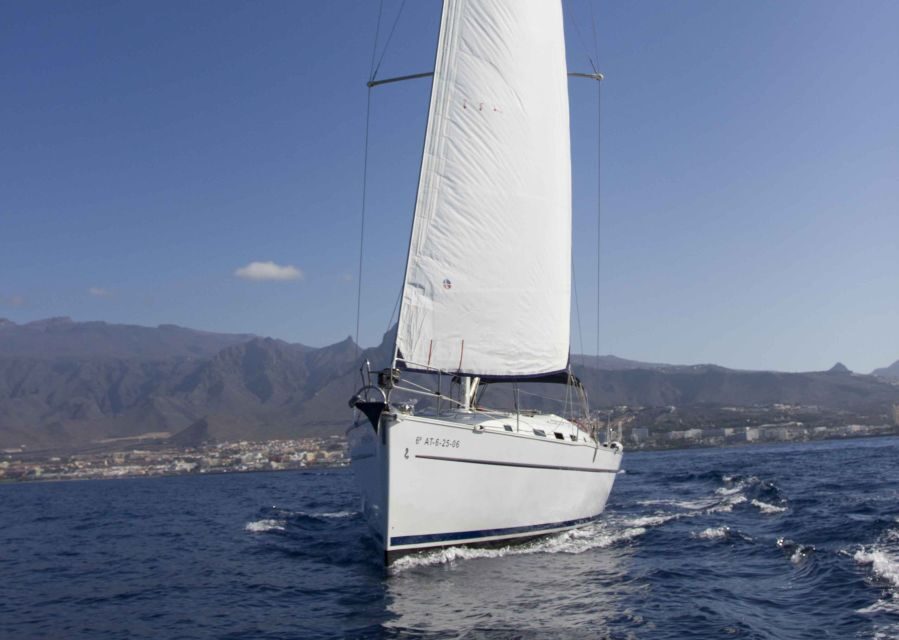 Tenerife: Whale and Dolphin Watching Tour by Sailboat - Final Thoughts: Is It Worth It?