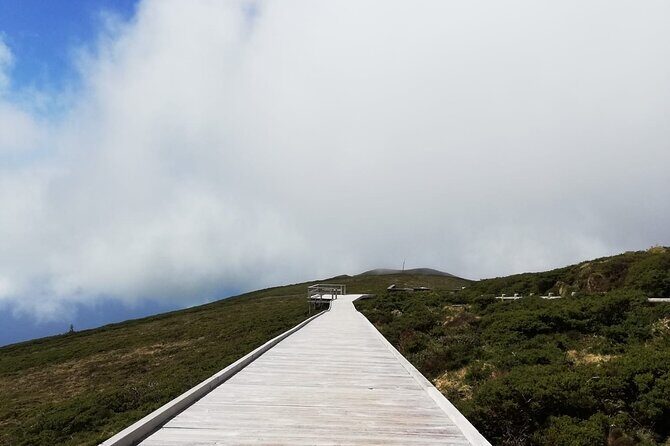 Terceira Island full day tour - Authentic Experiences: What Travelers Say