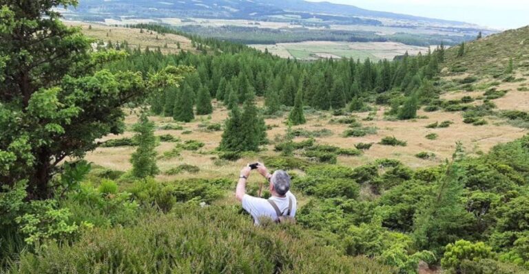 Terceira Island : Hiking Trail Rocha do Chambre - A Detailed Look at the Rocha do Chambre Hiking Experience