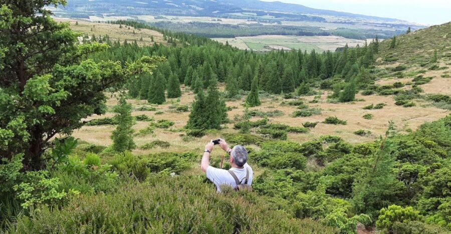 Terceira Island : Hiking Trail Rocha do Chambre - A Detailed Look at the Rocha do Chambre Hiking Experience