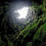 Terceira Island Private Full-Day Slow Tour with Lunch and Pickup - What Travelers Say