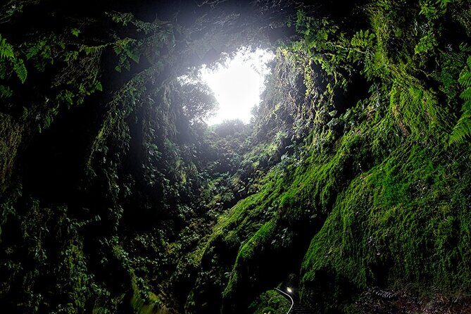 Terceira Island Private Full-Day Slow Tour with Lunch and Pickup - What Travelers Say