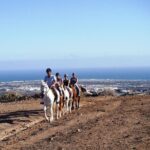The Best Horse Riding Experience in Gran Canaria (1 hour) - The Itinerary in Detail