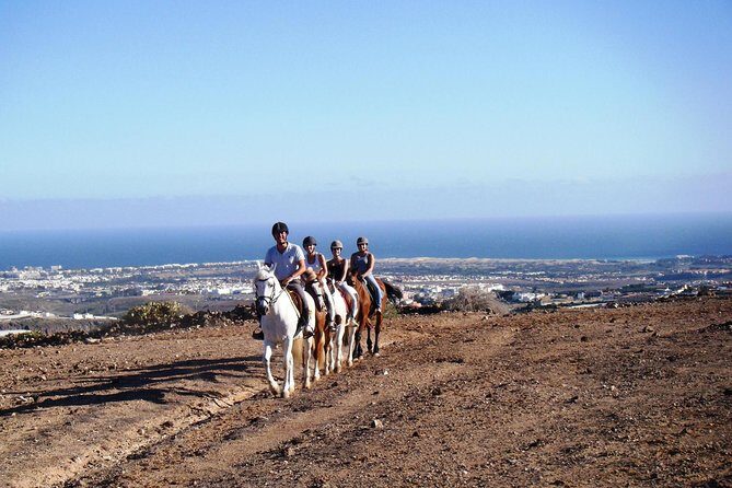 The Best Horse Riding Experience in Gran Canaria (1 hour) - The Itinerary in Detail