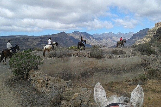 The Best Horse Riding Experience in Gran Canaria (2 hours) - Authentic Feedback from Riders