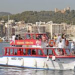 The Best of Palma: Boat trip, Walking tour and Cathedral - Who Will Love This Tour?