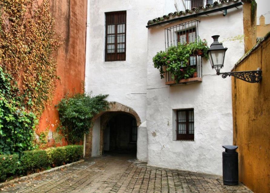 The Best of Seville: Private 2,5 Hour Walking Tour - The Experience: What Makes It Worthwhile