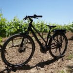 The Carrières de Lumières by bike for half-day - Exploring Saint-Remy and Beyond: What to Expect