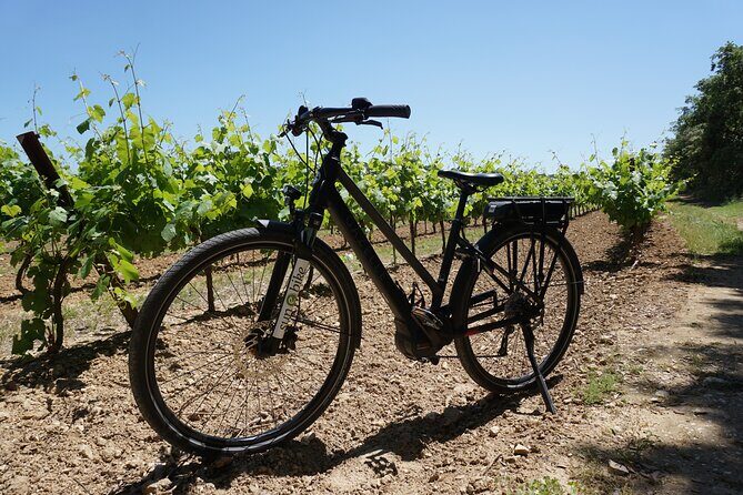 The Carrières de Lumières by bike for half-day - Exploring Saint-Remy and Beyond: What to Expect