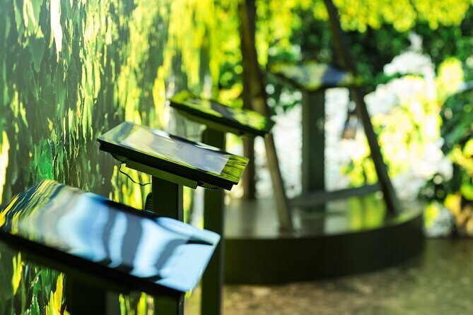 The discovery trail at Maison Brotte - An in-depth look at the experience