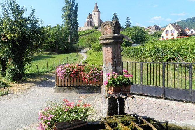 The Emblematic: visit of villages, Haut-Koenigsbourg, Wine tasting - The Practicalities and Value
