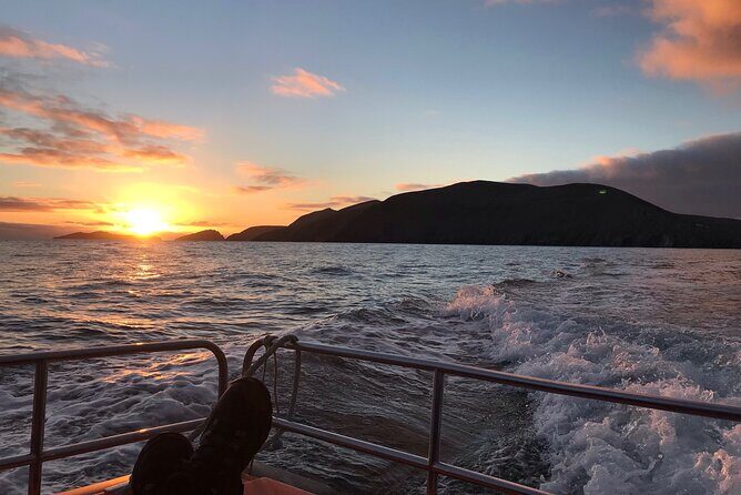 The Great Blasket Island Experience - Premium Tour - Who Should Book This Tour?