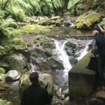 The King's Levada - Levada do Rei - Who Should Consider This Tour?