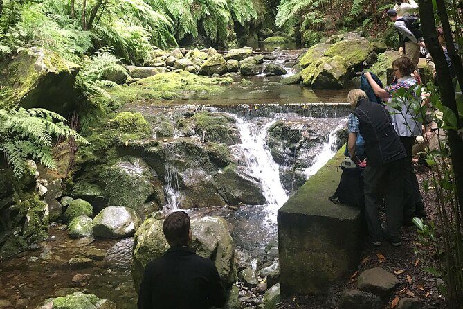 The King's Levada - Levada do Rei - Who Should Consider This Tour?