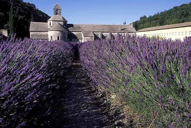 The Lavender country - Private tour with a local guide - Who Will Enjoy This Tour?