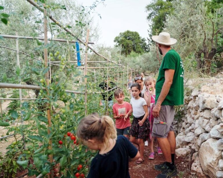 The Olive Oil Experience @ Lefkada Micro Farm - In-Depth Review of The Olive Oil Experience @ Lefkada Micro Farm