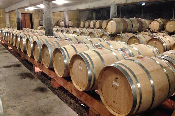 The Original Syrah Wine Tour (9:00 am - 1:30 pm) - Small Group Tours from Lyon - The Sum Up