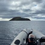 Third Island: Ilhéu das Cabras Boat Tour + Snorkeling - Why This Tour Is a Great Choice
