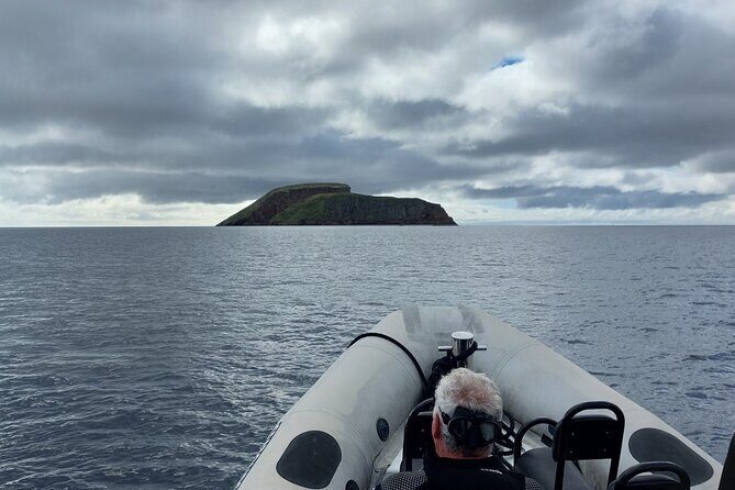 Third Island: Ilhéu das Cabras Boat Tour + Snorkeling - Why This Tour Is a Great Choice