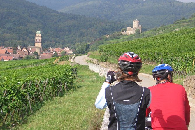 Through Alsace Vineyards and Wine Villages Private Bike Tour - An In-Depth Look at the Experience