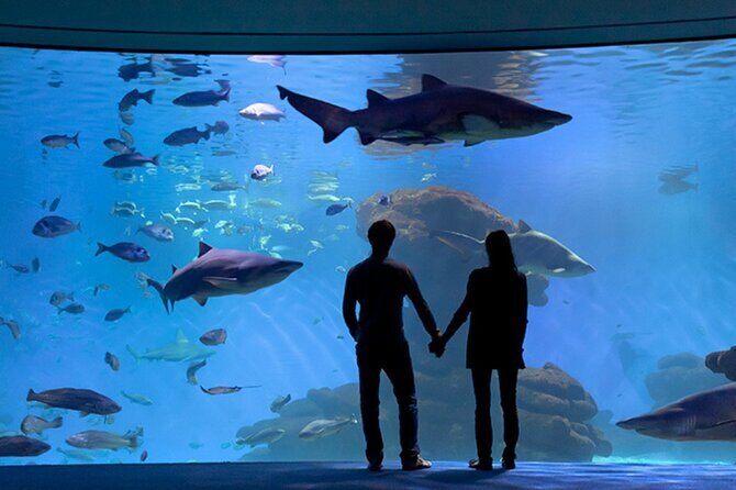 Ticket Palma Aquarium - Final Thoughts