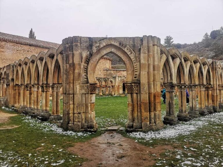 To the Ribera del Duero: Guided visit to discover the monuments of the Duero - A Closer Look at the Soria Guided Tour