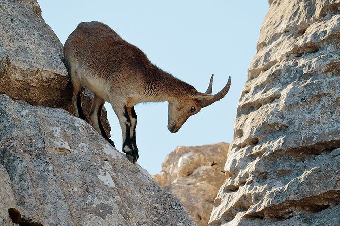 Torcal de Antequera Hiking Tour from Málaga - The Experience and Its Value