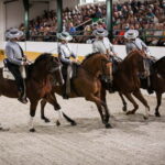 Torremolinos: Spanish horse show and flamenco with dinner option - A Deep Dive into the Experience
