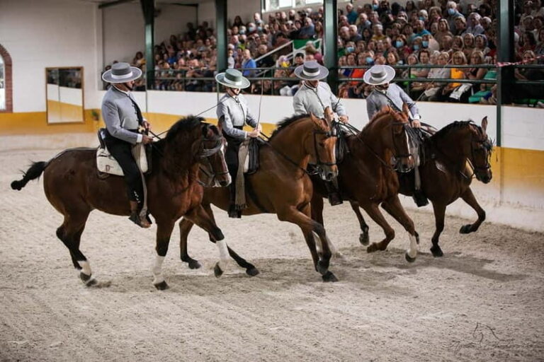 Torremolinos: Spanish horse show and flamenco with dinner option - A Deep Dive into the Experience
