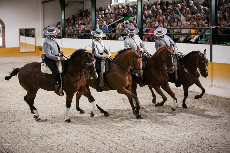 Torremolinos: Spanish horse show and flamenco with dinner option - A Deep Dive into the Experience