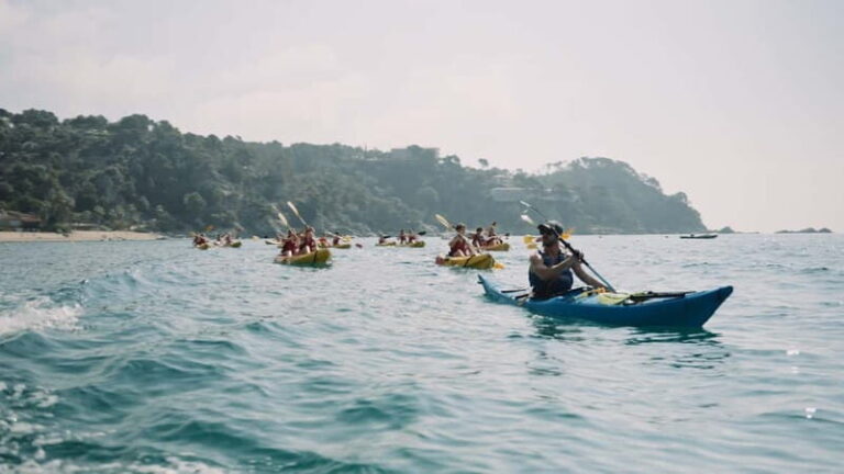 Tossa de Mar: Guided Kayaking Tour & Snorkelling - A Deep Dive into the Tossa de Mar Kayaking & Snorkelling Experience