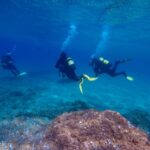 Tossa de Mar: Scuba Diving Experience for Beginners - Who Is This Tour Best For?