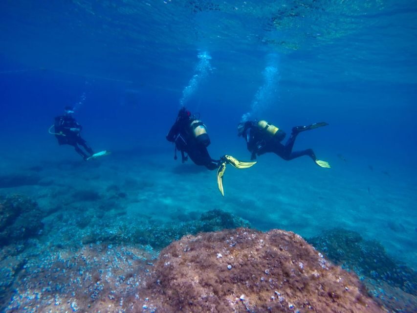 Tossa de Mar: Scuba Diving Experience for Beginners - Who Is This Tour Best For?