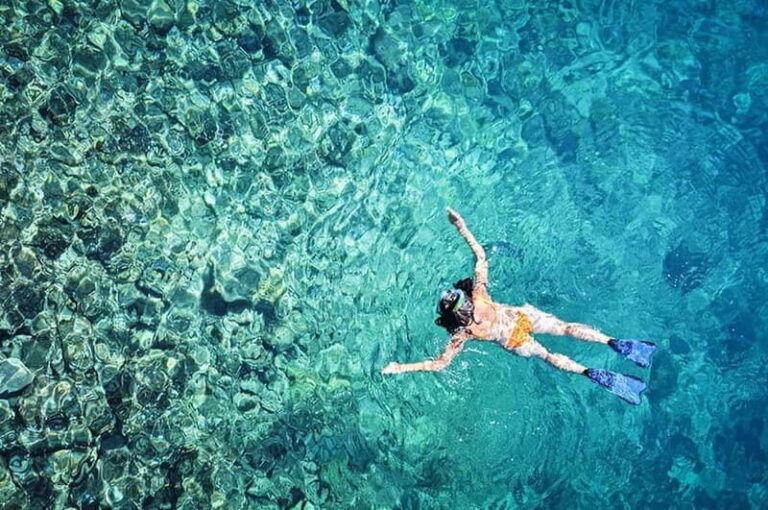 Tossa de Mar: Snorkeling Tour - What to Expect from the Tossa de Mar Snorkeling Tour