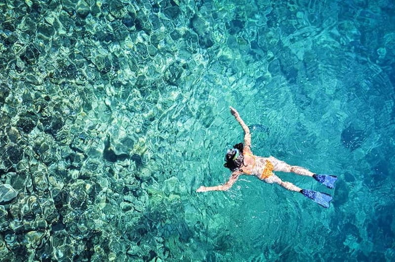 Tossa de Mar: Snorkeling Tour - What to Expect from the Tossa de Mar Snorkeling Tour