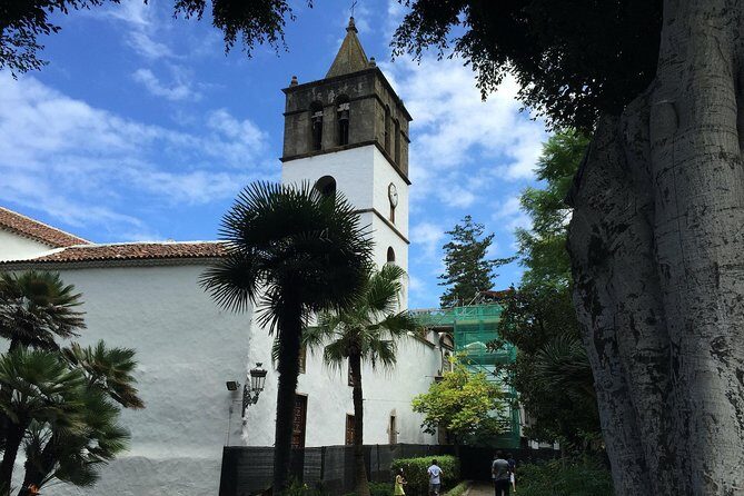 Tour Around the Island - Private VIP Tour in Tenerife - A Deep Dive into Tenerife’s Highlights