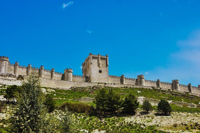 Tour in Ribera del Duero "like a native", with traditional Spanish tapas - Summary: The Value of a Genuine, Local-Style Wine Tour